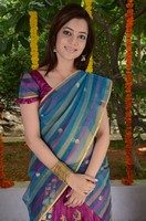 Nisha Agarwal Saree Photos